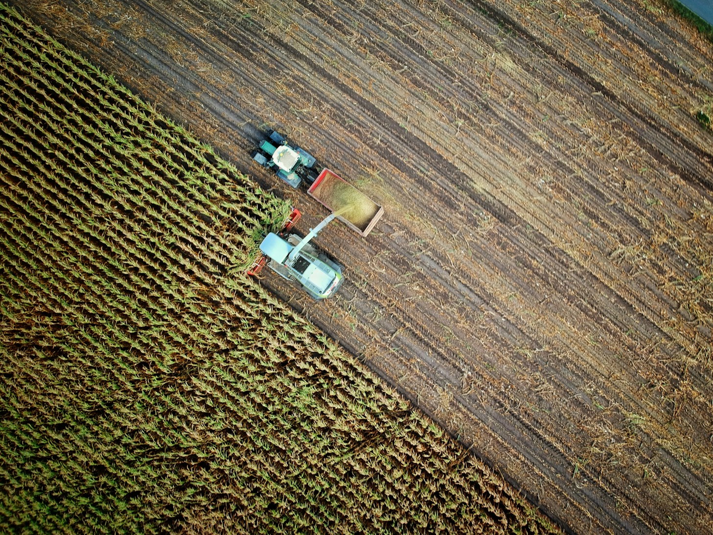 Agrifood